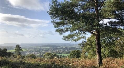 Historical journey through the Surrey Hills | OutdoorLads