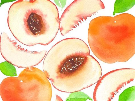 Tutorial How To Paint Watercolour Peaches Easily Emily Wassell