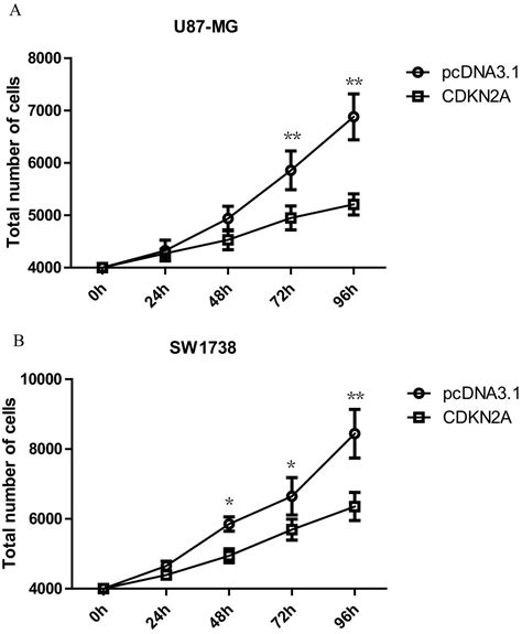 Downregulation Of Cdkn A And Suppression Of Cyclin D Gene Expressions