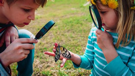 Nurturing Growth Through a Blend of Hands-On Activities and Screens | Bette Fetter