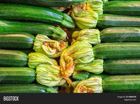 Zucchini Food Image And Photo Free Trial Bigstock