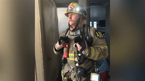 Fire crews rescue family of kittens from Millcreek apartment fire