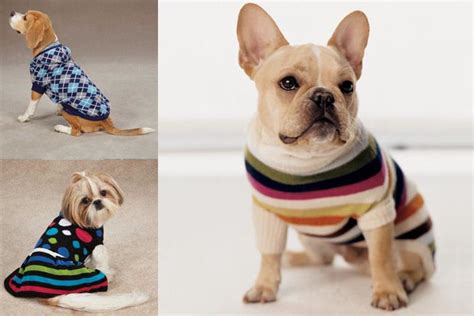 How to Make DIY Dog Sweater - Step By Step Guide With Video