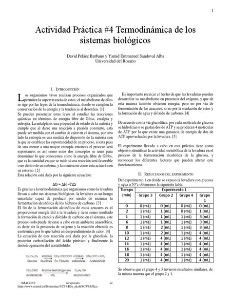 Termodinámica De Los Sistemas Biológicos Pdf Levadura Metabolismo