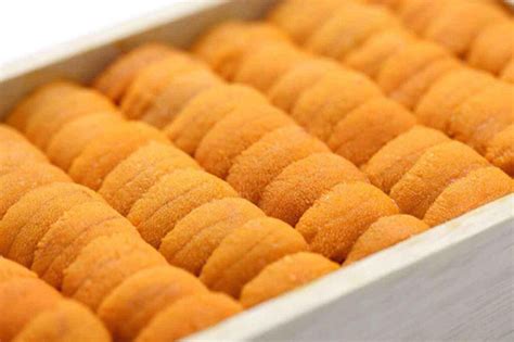 What Is Uni Sushi Types Grades Taste And More