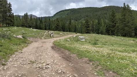 2023 Best Wild Flowers Trails in Pitkin | AllTrails