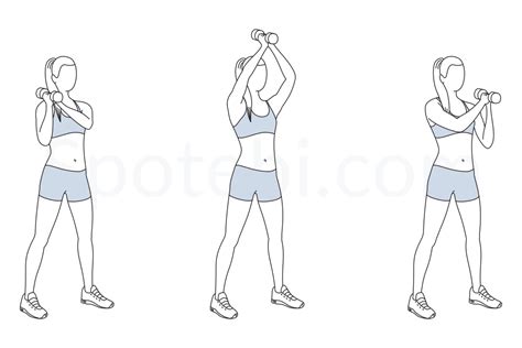 Dumbbell Shoulder To Shoulder Press | Illustrated Exercise Guide