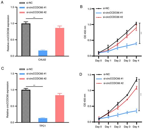 Knockdown Of Circccdc66 Inhibited Thyroid Cancer Cell Proliferation