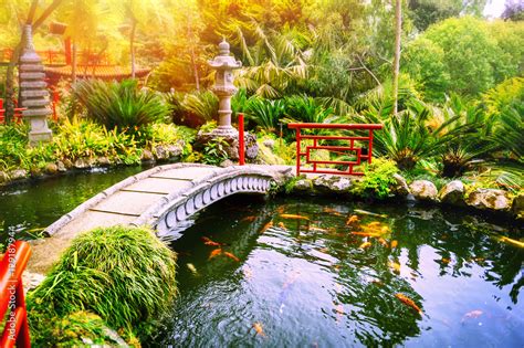 Japanese garden with swimming koi fishes in pond Stock Photo | Adobe Stock