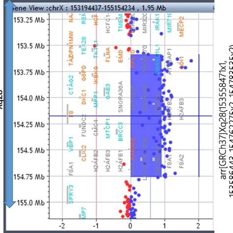 schematic representation  xq showing  regions  mecp