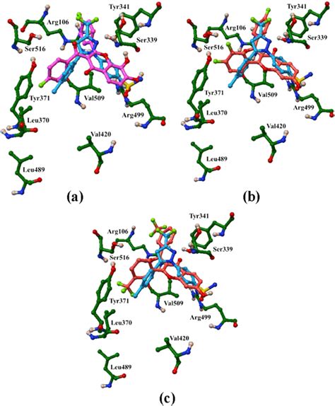 The Binding Conformations Of A Compound Pink B Compound Red