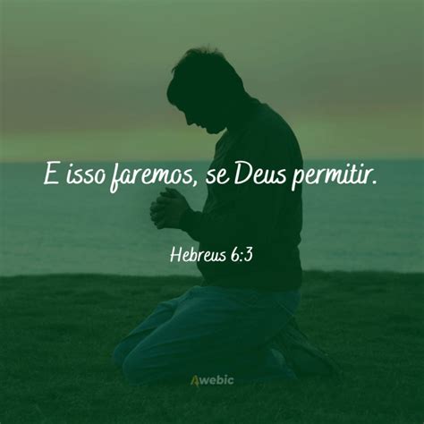 31 versículos sobre a vontade de Deus para sua vida