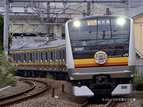 Jr東日本 南武線 E233系8000番台 ちゃちゃぴの写真な日記帳