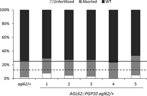 Figures And Data In Auxin Production In The Endosperm Drives Seed Coat