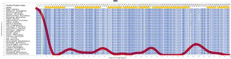 SSR3 Gene GeneCards SSRG Protein SSRG Antibody