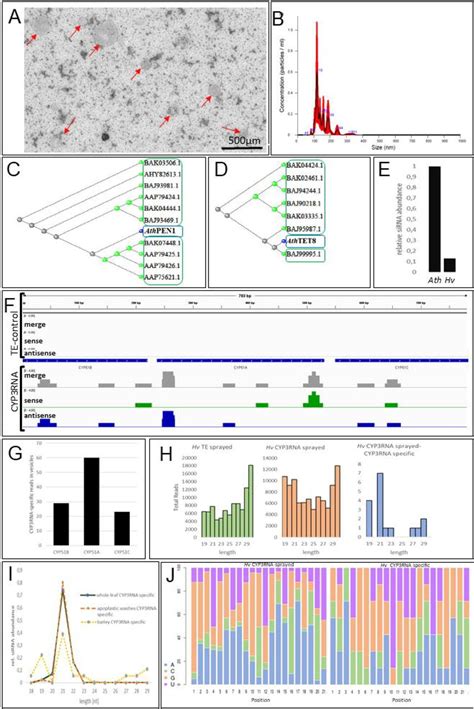 Miseq Sequence System Software Illumina Inc Bioz