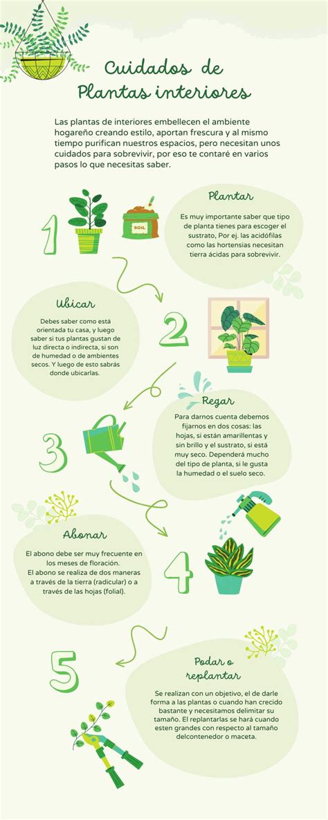 Infograf As De Plantas