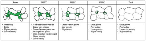 Microstructure Mechanism Of Grains Growth Densification And It