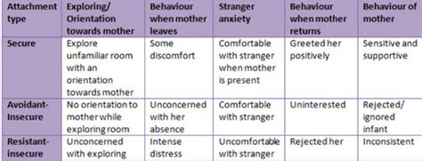 Ainsworth S Strange Situation Types Of Attachment Flashcards Quizlet