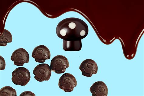 Surprisingly Easy And Tasty Magic Mushroom Chocolate Recipes