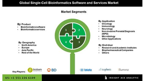 Single Cell Bioinformatics Software And Services Market Share And Size