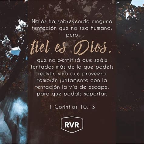 Corintios Versos Biblicos