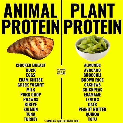 Comparing Calories Vs On Instagram Follow Bodysmartfitness