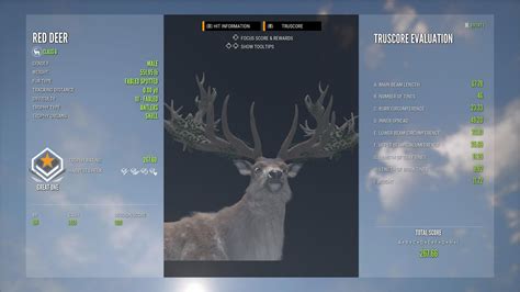 GREAT ONE RED DEER DOWN! : r/theHunter