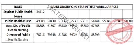 Ireland Nurses Salary Nurse Info