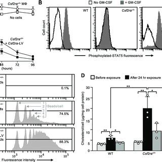 Genetic Correction Of Gm Csf Receptor Signaling In Murine Macrophages