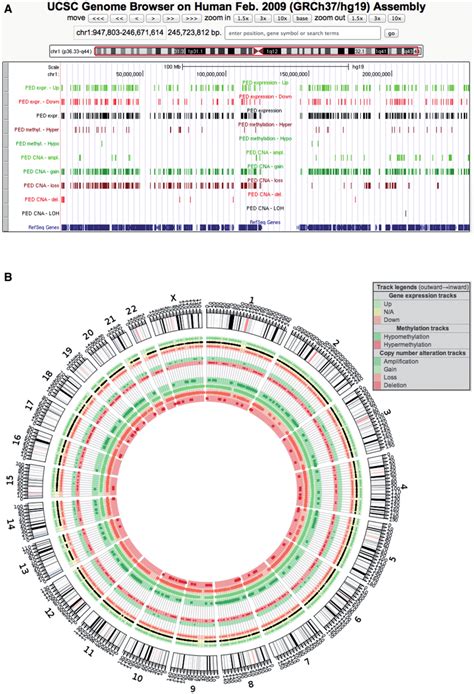 Integrated Graphical View Of Transcriptomic And Genomic Changes