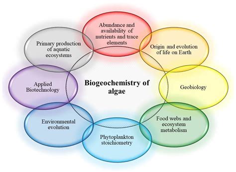 Biogeochemical Role Of Algae In Aquatic Ecosystems Basic Research And