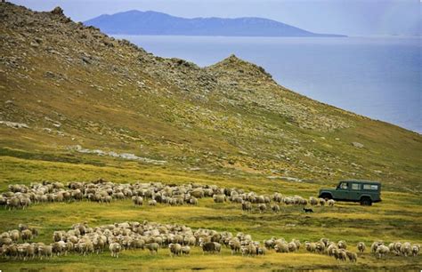 11 Erstklassige Touristenattraktionen Auf Den Falklandinseln