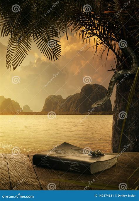 Antique Book On Tropic Sunset Back Stock Image Image Of Antique