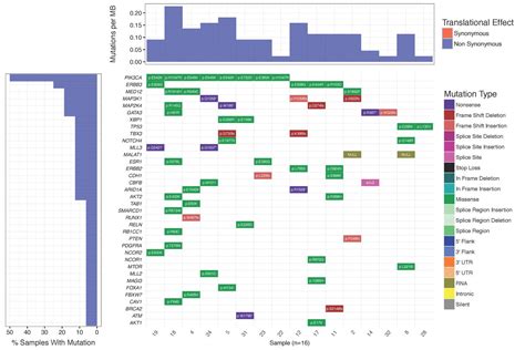 Algorithm To Make A Mutation Waterfall Plot Coded In R Stack Overflow