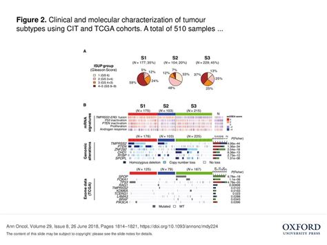 Figure Identification Of Three Tumour Molecular Subtypes In Cit And