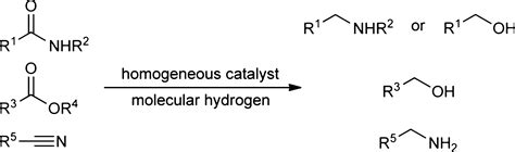 Catalytic Hydrogenation Of Carboxylic Acid Esters Amides And Nitriles