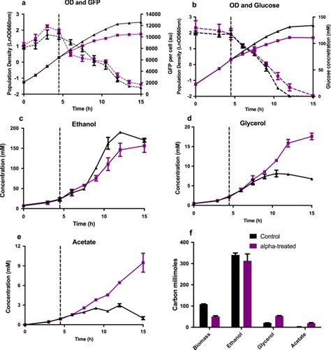 Pheromone Response Gfp Expression Extracellular Metabolites And