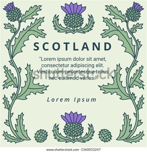 Handdrawn Colorful Vector Frame Scottish Thistle Stock Vector Royalty