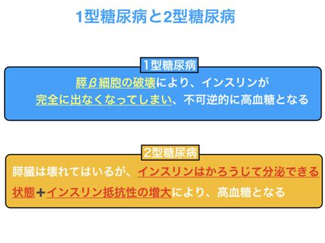 糖尿病ケトアシドーシスとは？機序や症状、病態をわかりやすく解説！