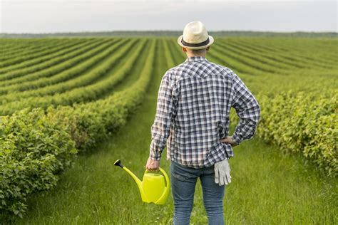 Que Es El Riego Tecnificado Water Trade Insumos Para Riego