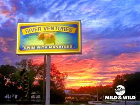 River Ventures | Private Manatee Group Tour | Crystal River