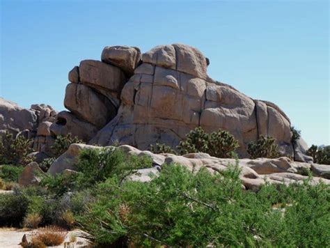 Joshua Tree Nationalpark Sch Nheit Der W Ste Kaliforniens