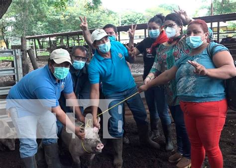 Bonos De Cerdas Para Mujeres Del Campo En Le N Tn Tv