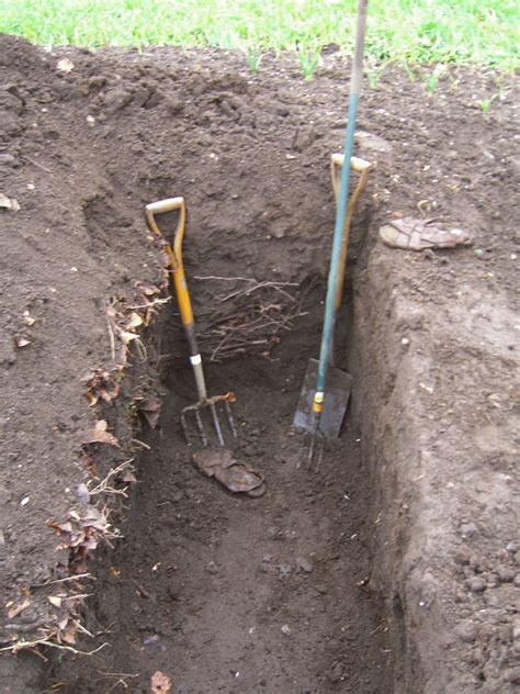 How To Get Rid Of Couch Grass Out Of Lawn at Sebastian Williams blog