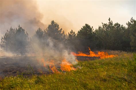 W lasach na zachodzie bardzo wysokie zagrożenie pożarowe