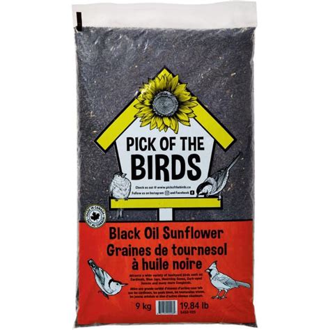 Pick Of The Birds Black Oil Sunflower Bird Seed Home Hardware