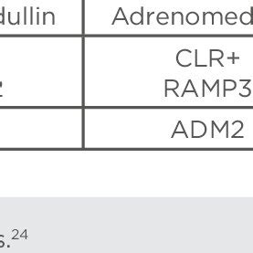 The calcitonin gene-related peptide receptor family. | Download ...