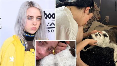 Billie Eilish Says Goodbye To Her Dead Dog Pepper Youtube