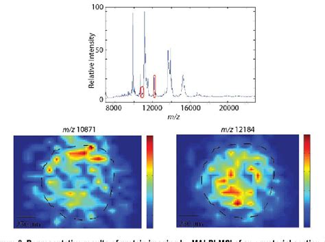 Pdf Sample Preparation Strategies For Mass Spectrometry Imaging Of 3d Cell Culture Models